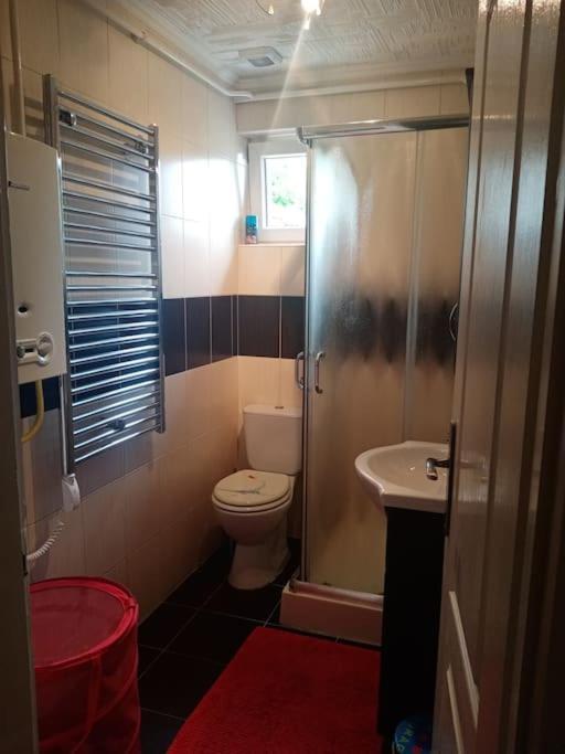 D38 Pestelizabeth Apartman Daire Budapeşte Dış mekan fotoğraf